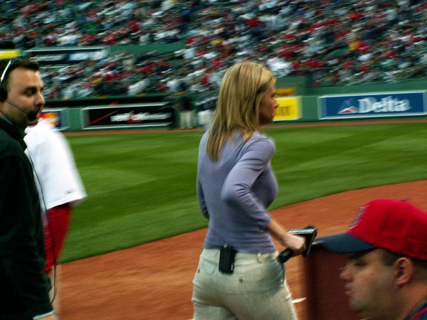 erin andrews ass